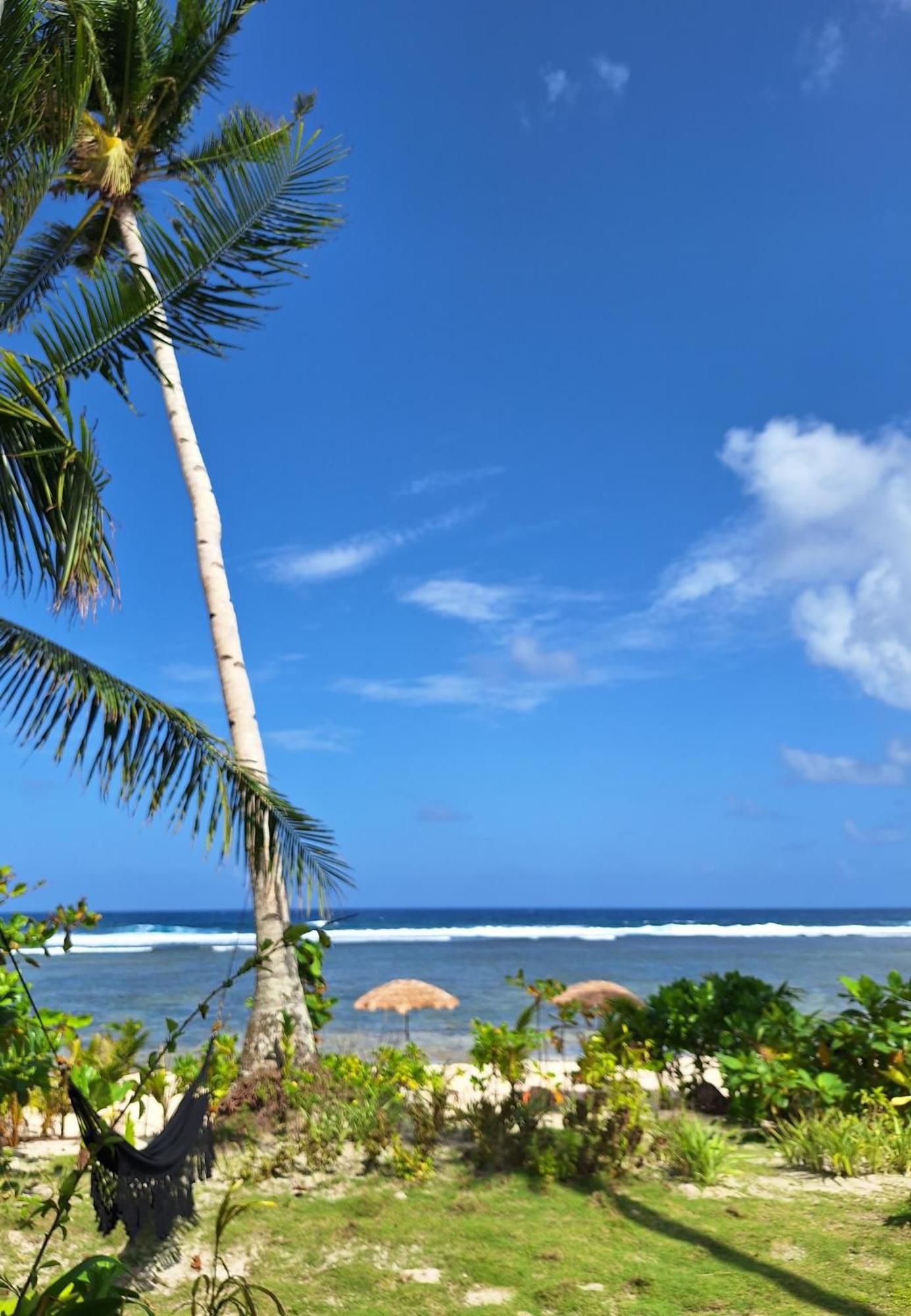 Bamboo Surf Beach San Isidro  Εξωτερικό φωτογραφία