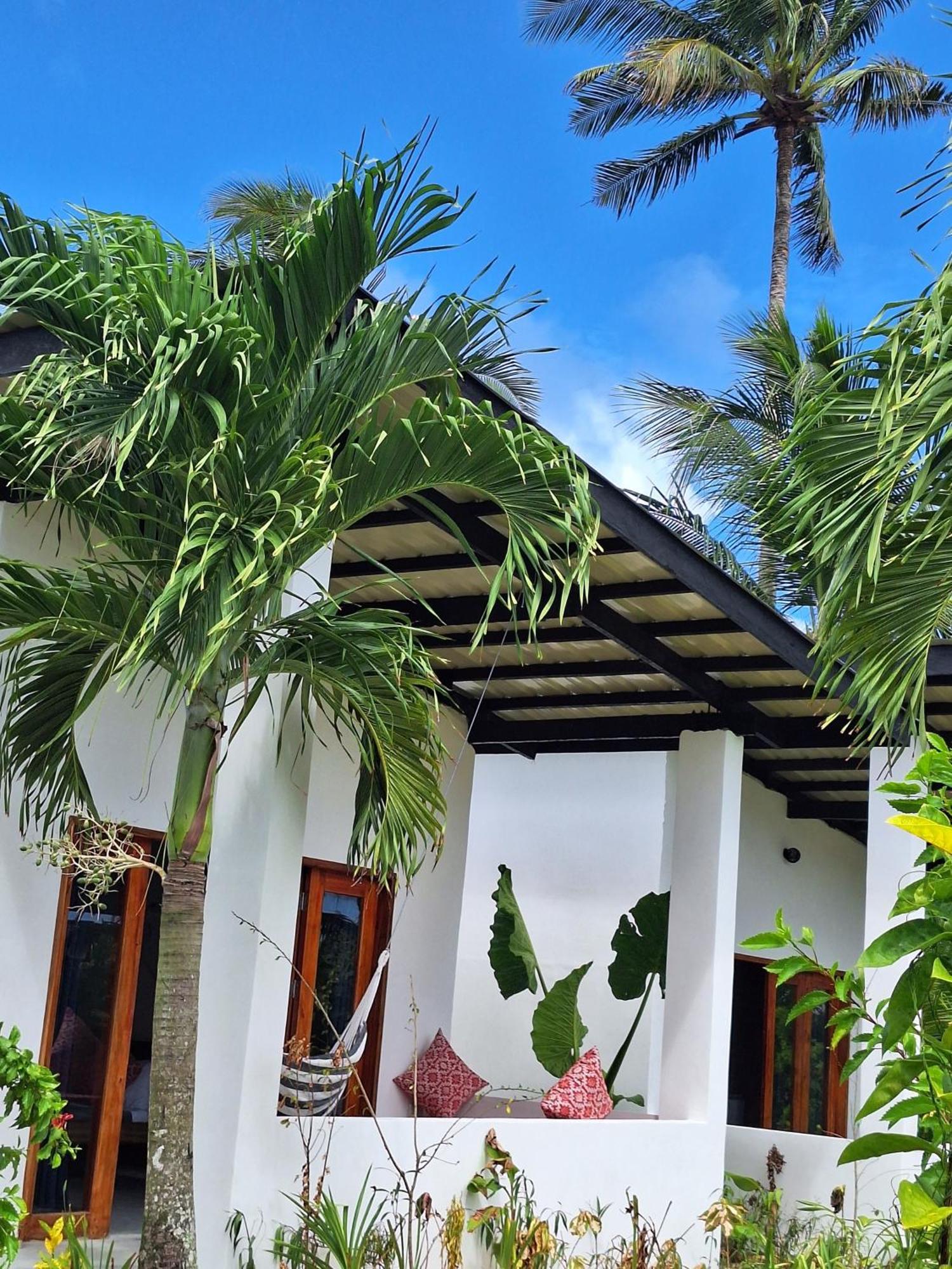 Bamboo Surf Beach San Isidro  Εξωτερικό φωτογραφία